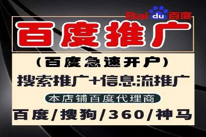 竞价推广技巧分享：成功案例剖析